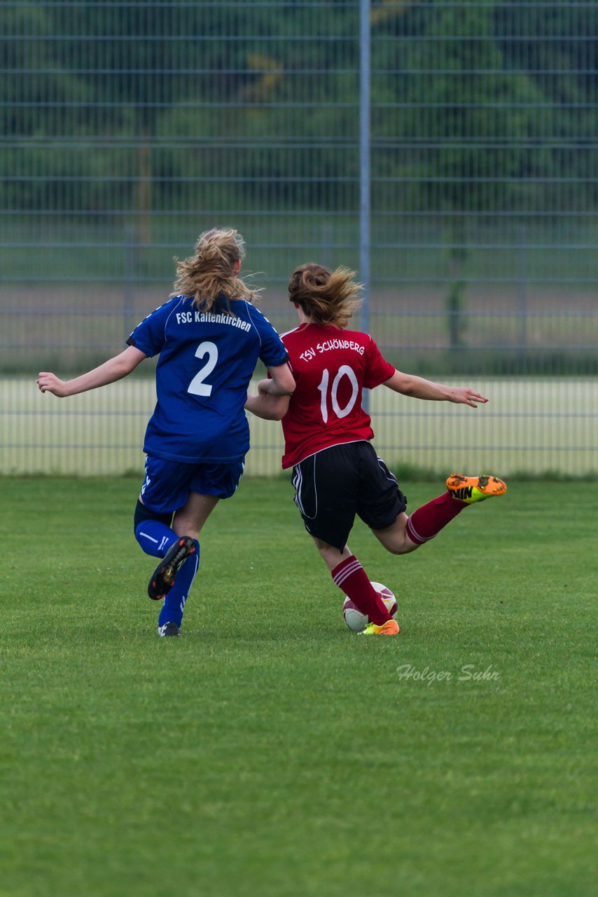 Bild 219 - B-Juniorinnen FSC Kaltenkirchen - TSV Schnberg : Ergebnis: 1:1